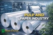 Pulp And Paper Industry: At Christmas From Tree to Gift Wrap